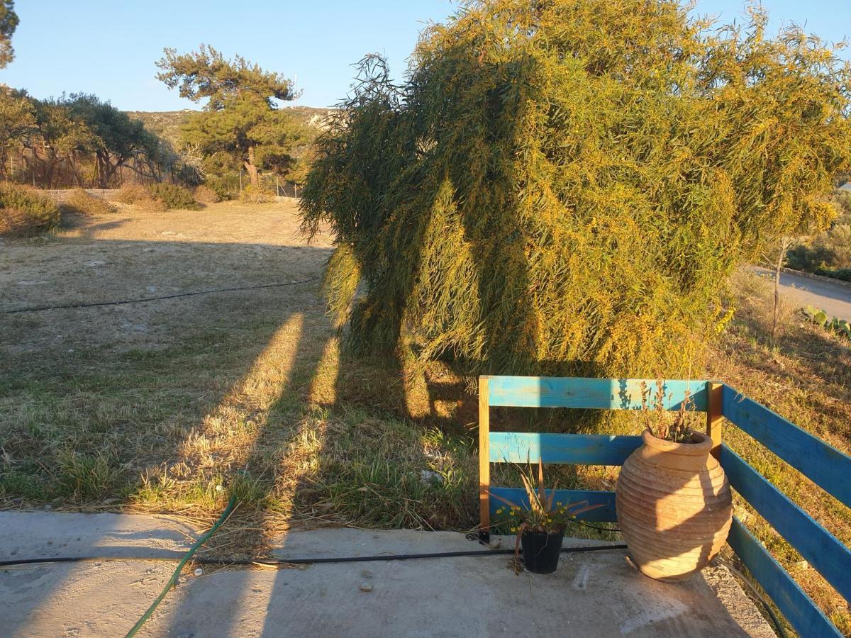 ארכאנגלוס Sunset Holiday House מראה חיצוני תמונה
